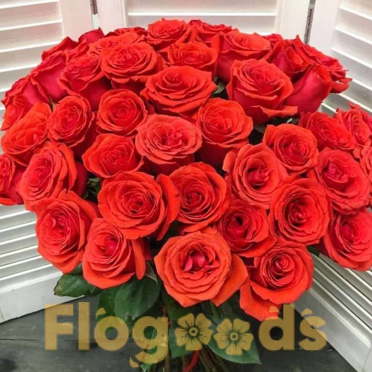 51 красная роза за 19 566 руб.